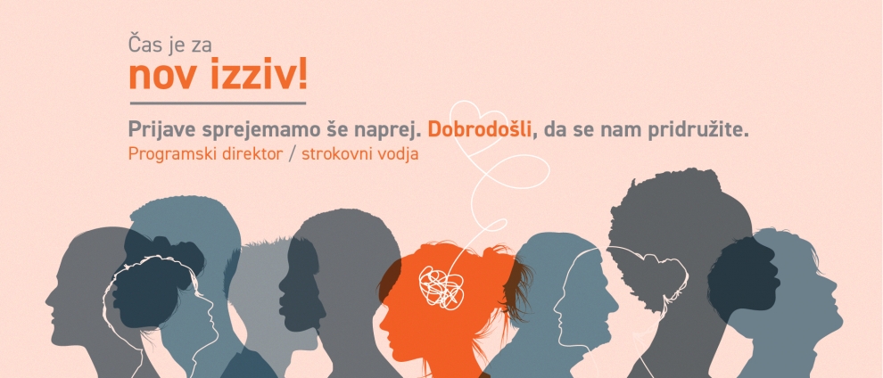 Programski direktor / strokovni vodja socialnovarstvenega programa (M/Ž)